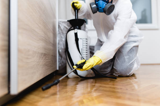 Best Wasp Removal Services  in Granite Falls, MN