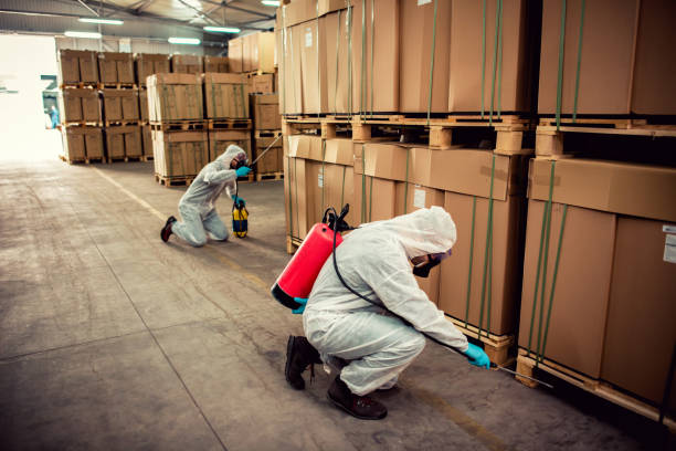 Best Wildlife Control Services  in Granite Falls, MN