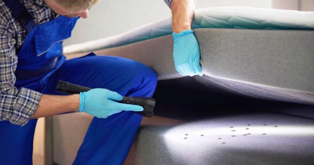 Best Mosquito Control Services  in Granite Falls, MN