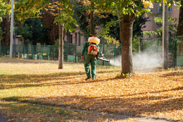 Best Insect Control  in Granite Falls, MN