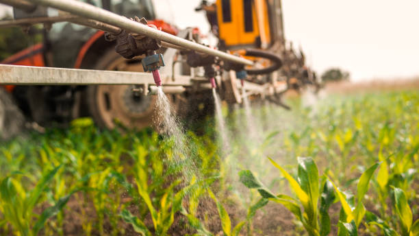 Reliable Granite Falls, MN Pest Control Solutions