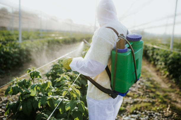 Best Best Pest Control Companies  in Granite Falls, MN